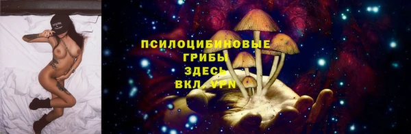 каннабис Арсеньев